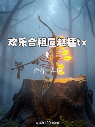 欢乐合租屋赵猛txt