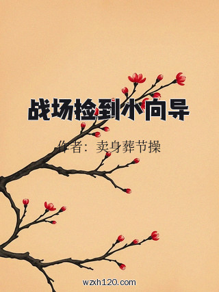 战场捡到小向导