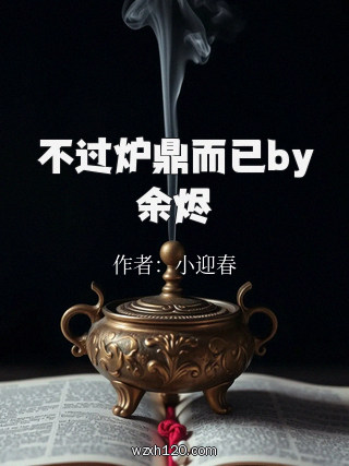 不过炉鼎而已by余烬