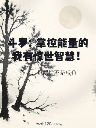 斗罗:掌控能量的我有惊世智慧!