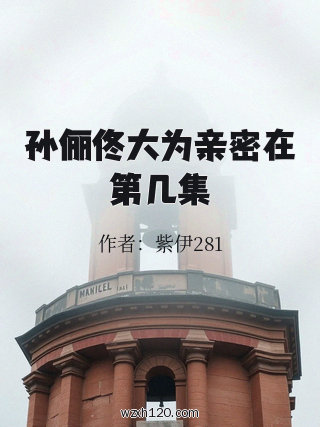 孙俪佟大为亲密在第几集