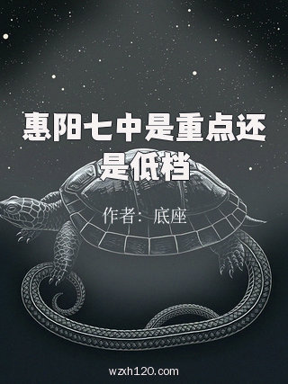惠阳七中是重点还是低档