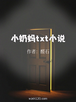 小奶妈txt小说