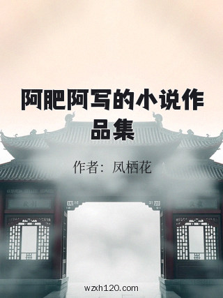 阿肥阿写的小说作品集