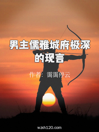 男主儒雅城府极深的现言
