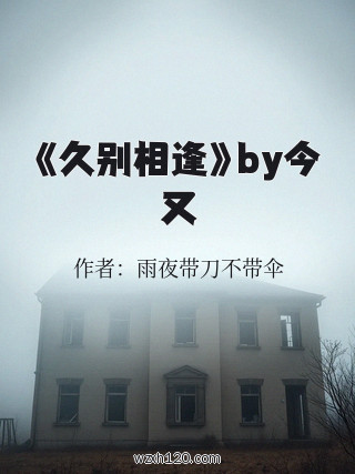 《久别相逢》by今又