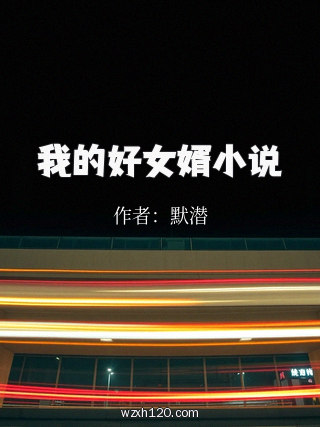 我的好女婿小说