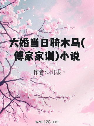 大婚当日骑木马(傅家家训)小说