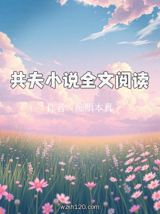 共夫小说全文阅读