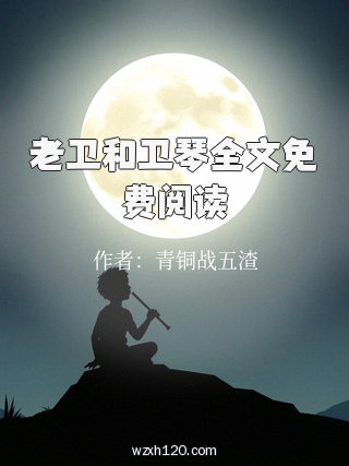 老卫和卫琴全文免费阅读