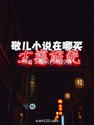 敬儿小说在哪买