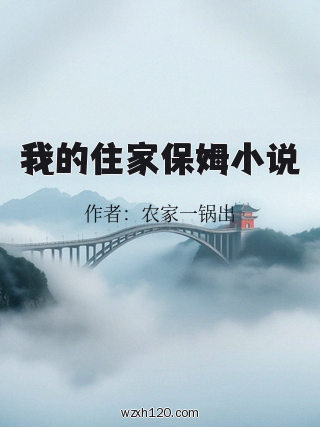我的住家保姆小说