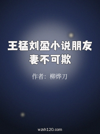 王猛刘盈小说朋友妻不可欺