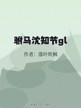 驸马沈知节gl