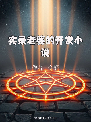 实录老婆的开发小说