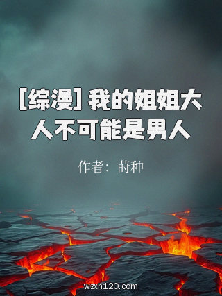 [综漫] 我的姐姐大人不可能是男人
