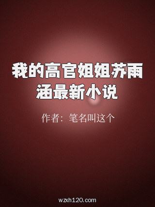 我的高官姐姐苏雨涵最新小说