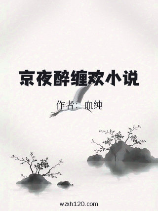 京夜醉缠欢小说