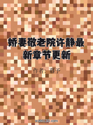娇妻敬老院许静最新章节更新