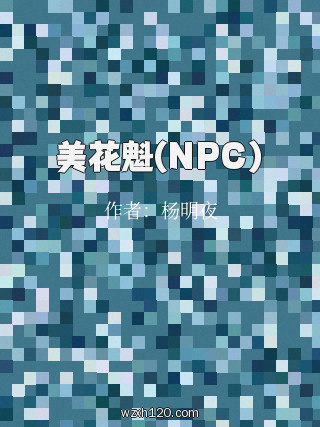 美花魁(NPC)