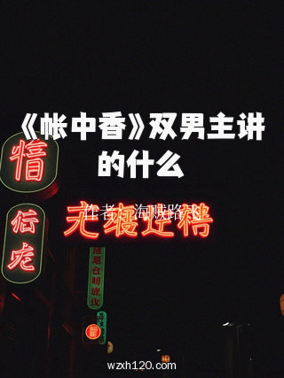《帐中香》双男主讲的什么