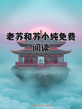 老苏和苏小纯免费阅读