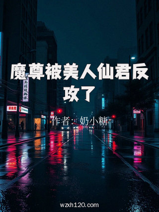 魔尊被美人仙君反攻了
