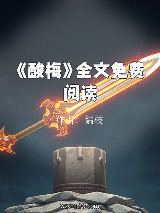 《酸梅》全文免费阅读