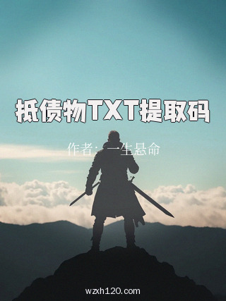 抵债物TXT提取码