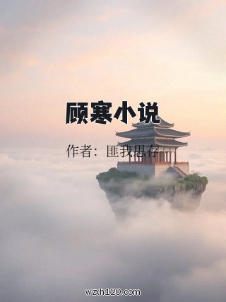 顾寒小说
