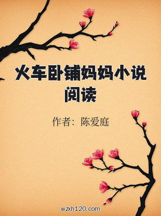 火车卧铺妈妈小说阅读