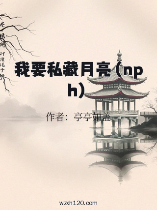我要私藏月亮(nph)