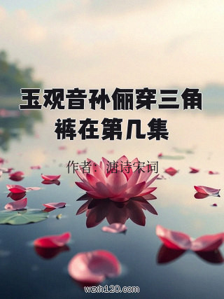 玉观音孙俪穿三角裤在第几集