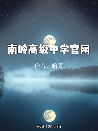 南岭高级中学官网
