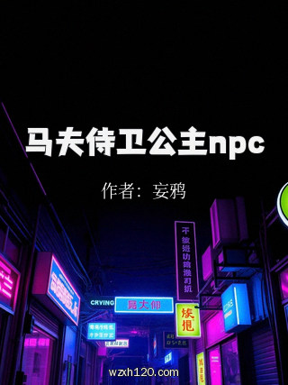 马夫侍卫公主npc