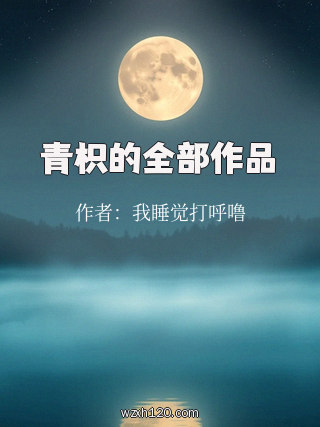 青枳的全部作品