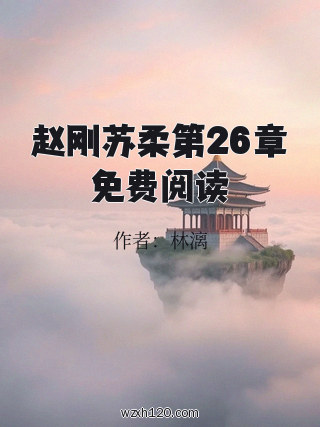 赵刚苏柔第26章免费阅读