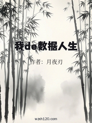 我de数据人生