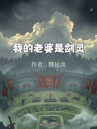 我的老婆是剑灵