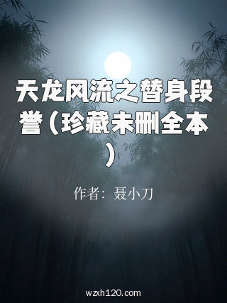 天龙风流之替身段誉(珍藏未删全本)