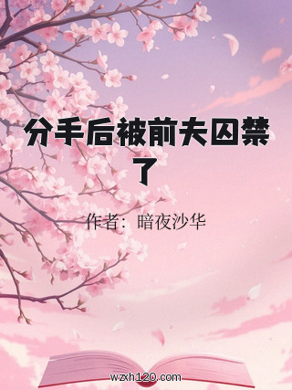 分手后被前夫囚禁了