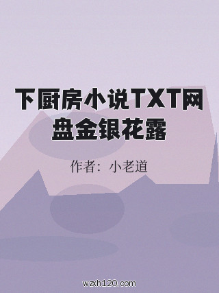 下厨房小说TXT网盘金银花露