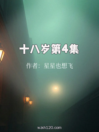 十八岁第4集