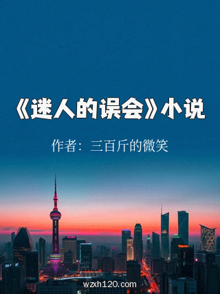 《迷人的误会》小说