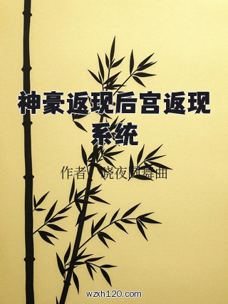 神豪返现后宫返现系统