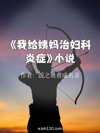 《我给姨妈治妇科炎症》小说