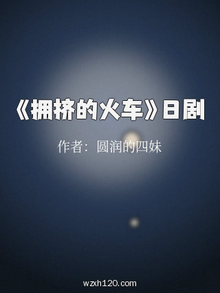 《拥挤的火车》日剧