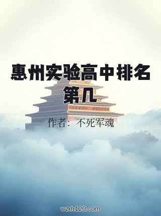 惠州实验高中排名第几