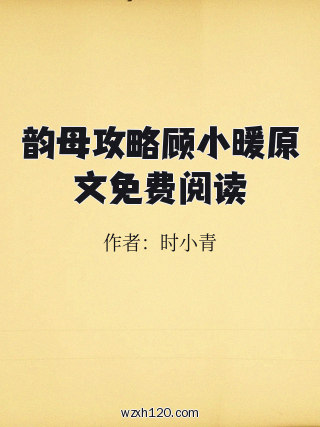 韵母攻略顾小暖原文免费阅读