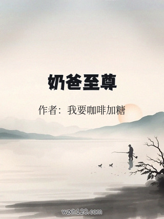 奶爸至尊